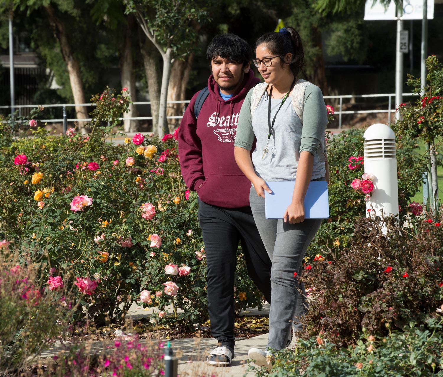 A female and male student walk along the rose garden on campus.