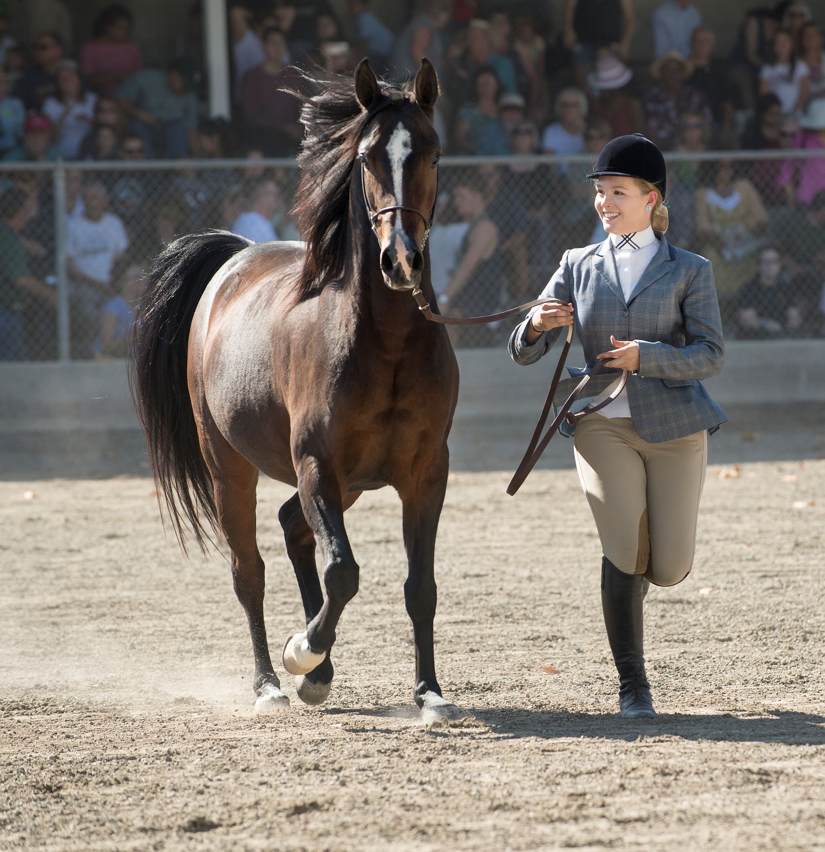 Sunday Horse Show rider and Arabian Horse