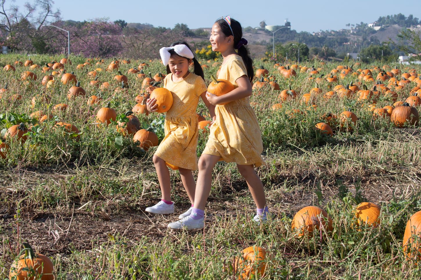 Two you girls running along the pumpkin patch