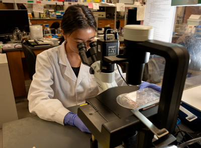 Female student working with a microscope in a lab