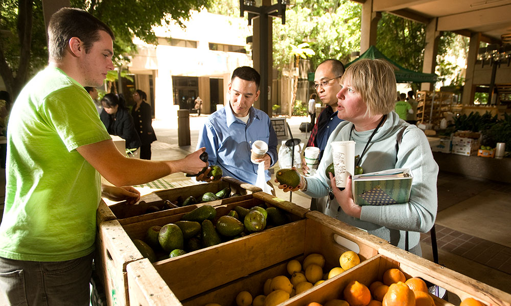 A student worker talks with customers about avocados at a farmers market.
