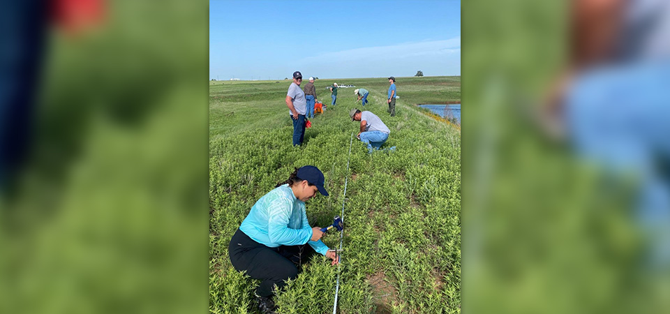 Interns work in a field with what appears to be irrigation lines