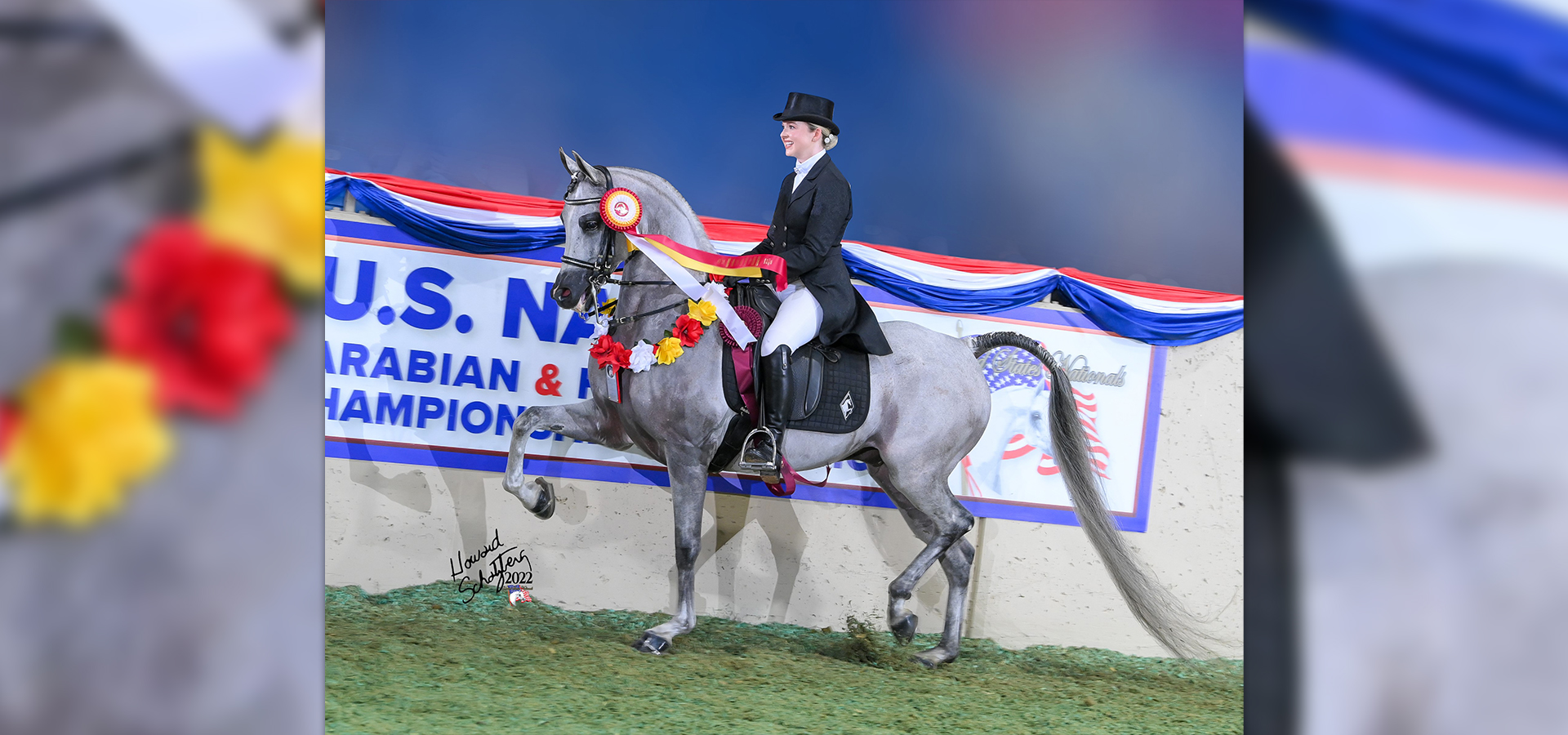 CP Cozmopolis wearing his reserve national championship roses 