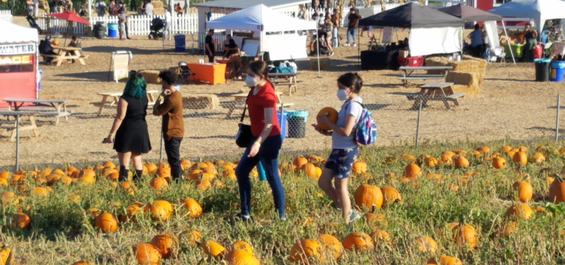 Pumpkin Fest Returns for October