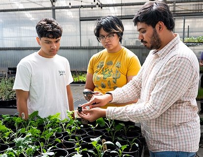 Assistant Professor Eshwar Ravishankar teaches a couple of students in the greenhouse.