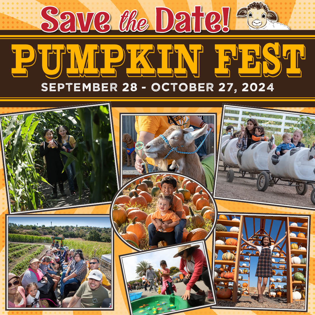 Welcome back to the farm.  October 2022 Cal Poly Pomona Pumpkin Fest.  October 1-30, 2022