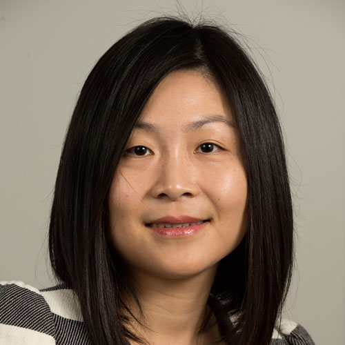 Dr. Wei Yu photo