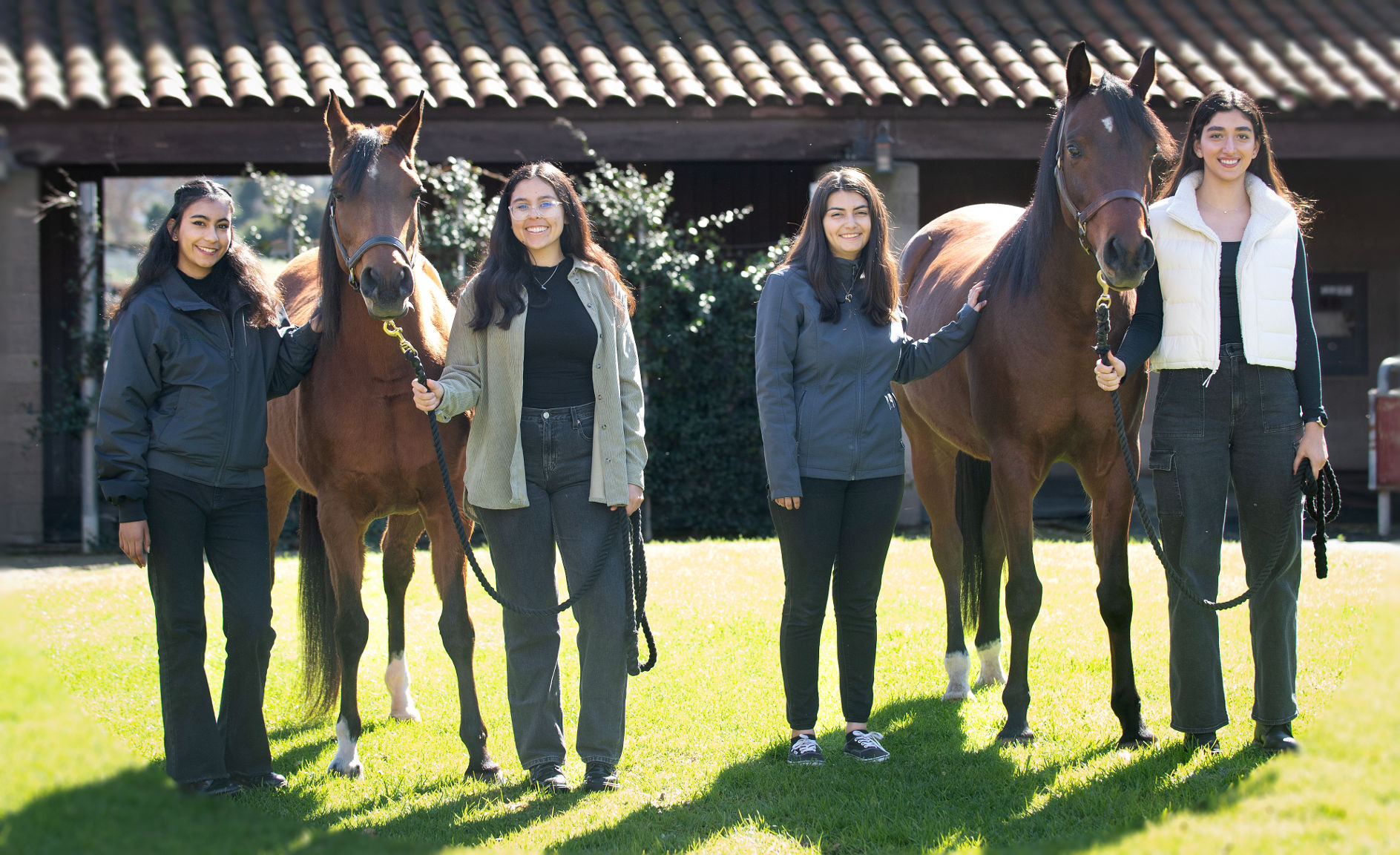 Portrait of Horse Feed Supplement Team