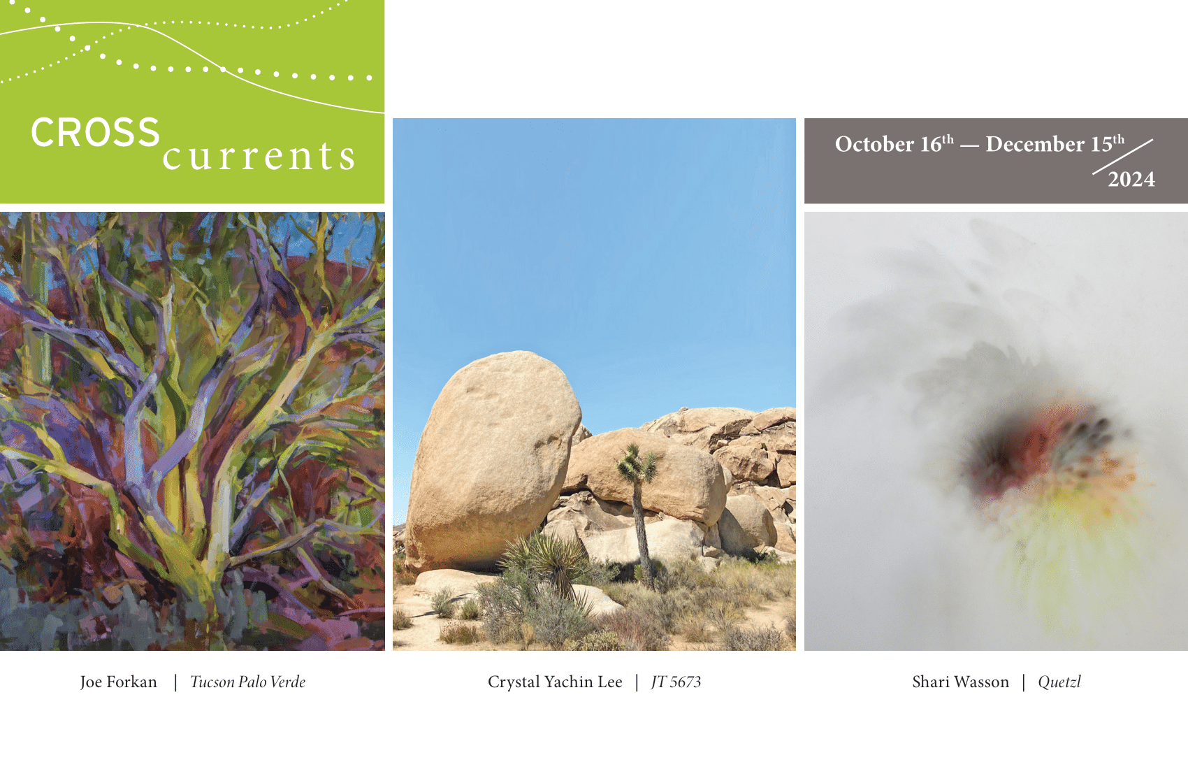 3 different artworks are displayed from left to right: "Tucson Palo Verde" by Joe Forman, "JT 5673" by Crystal Yachin Lee and "Quetzal" by Shari Watson. Exhibit date runs from October 16th to December 15th, 2024