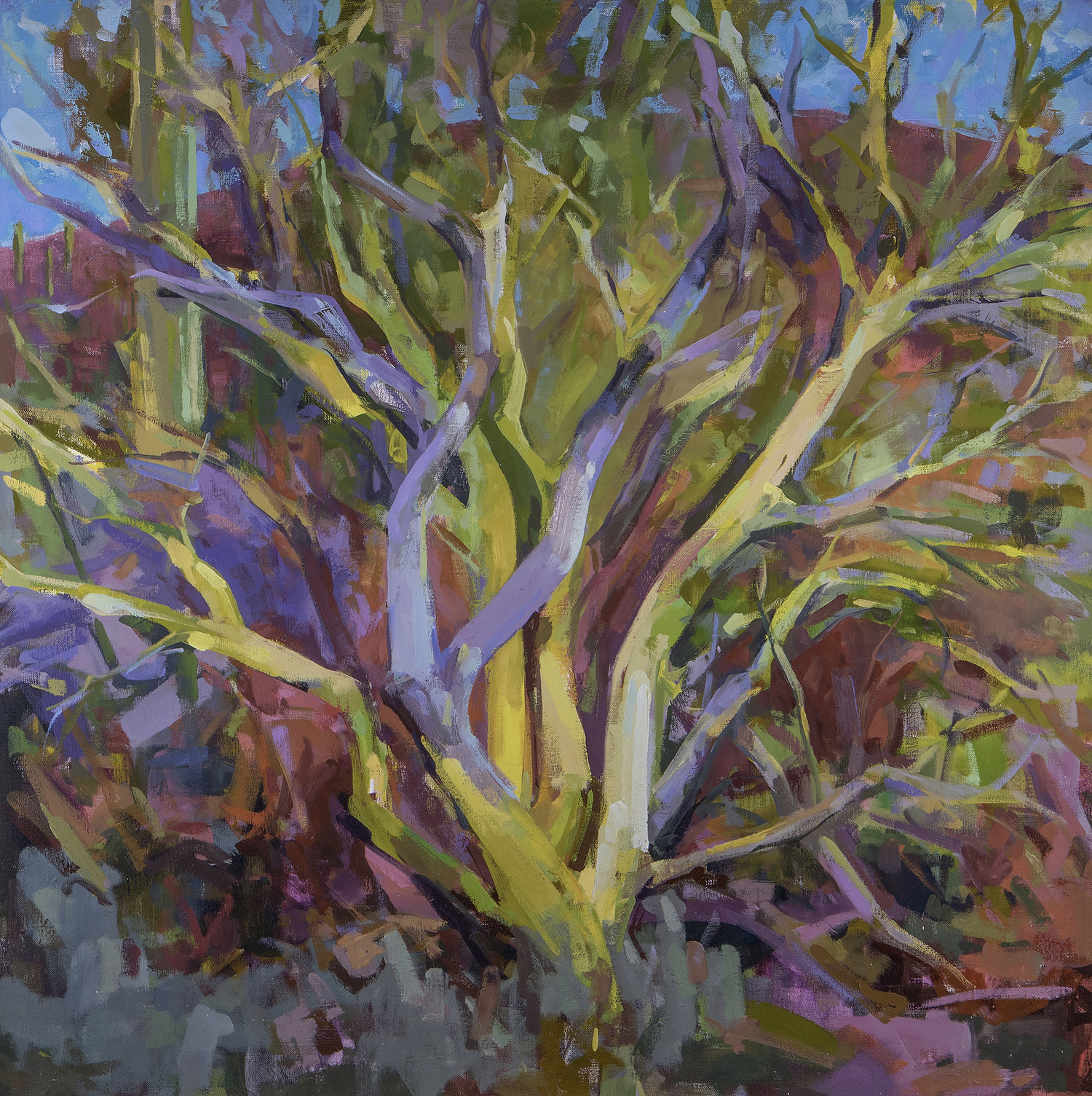 An expressive painting of a large, twisted Palo Verde tree. The branches stretch outwards in every direction, painted in shades of green, yellow, and purple.