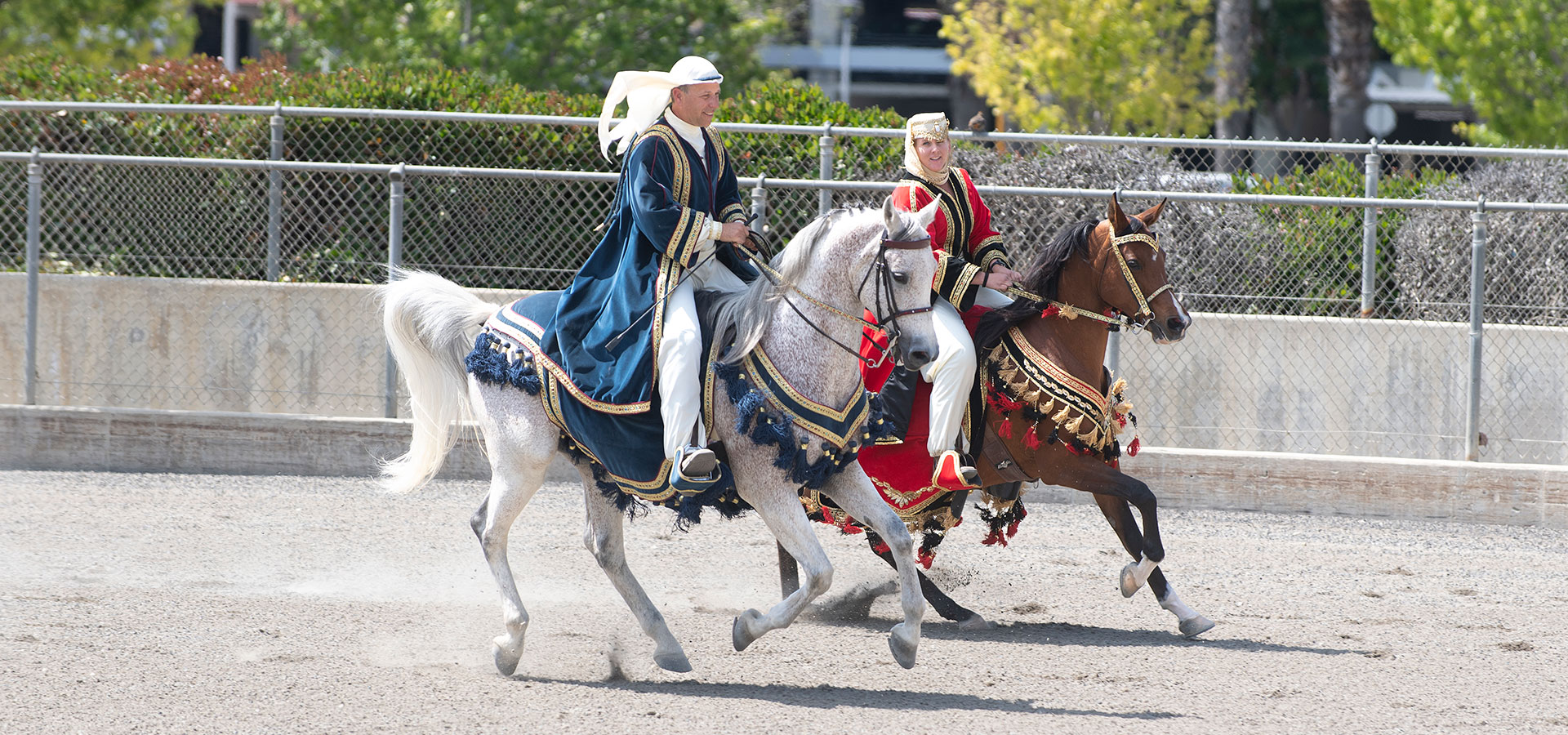 Two riders on Arabian Horses during a 2023 Sunday Horse Show.