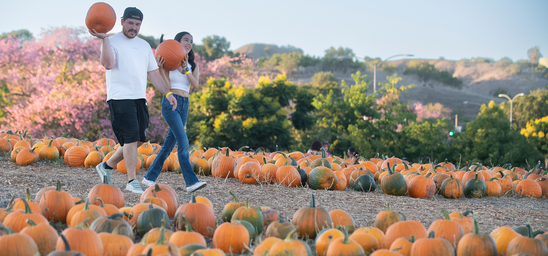 Two adults walk through the Cal Poly Pomona pumpkin patch.