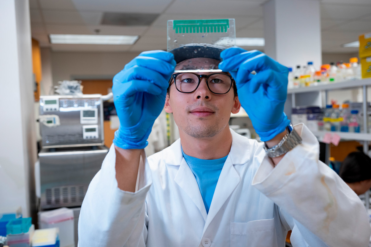 Student in lab outfit analyzing a held glass plate