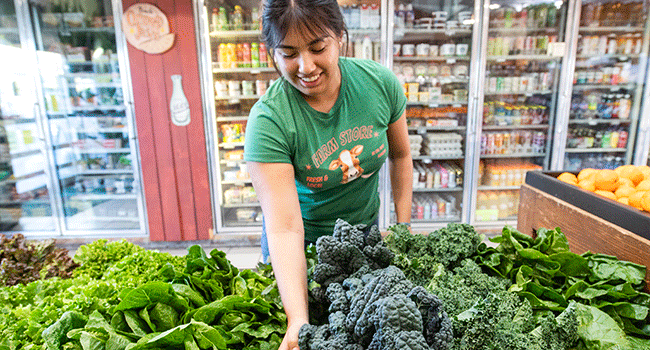 Farm store employee works with Kale