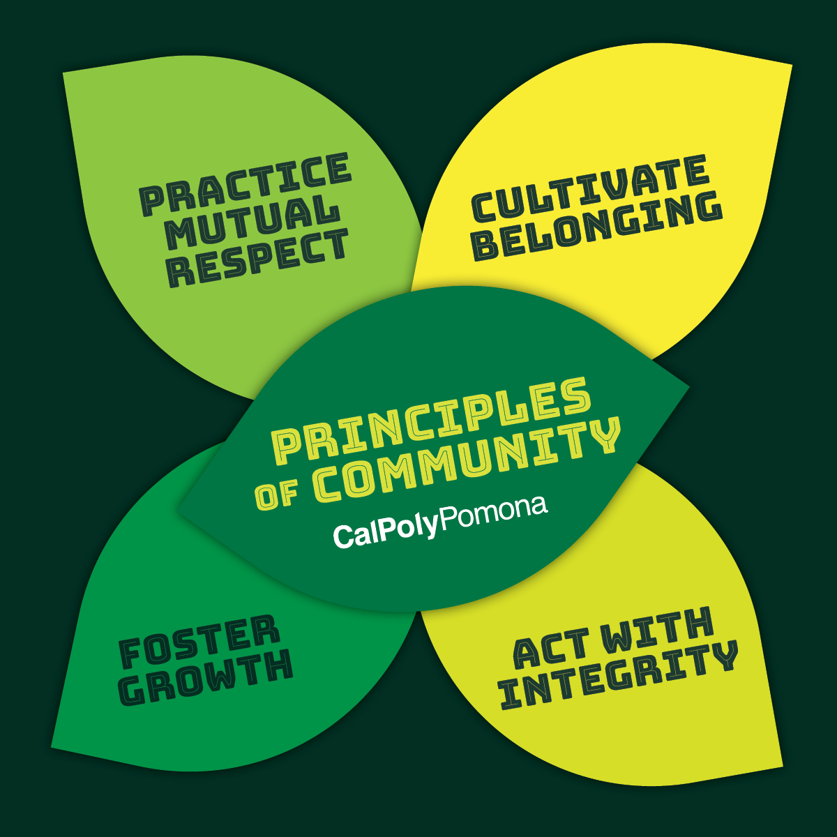 Practice Mutual Respect, Cultivate Belonging, Foster Growth and Act with Integrity