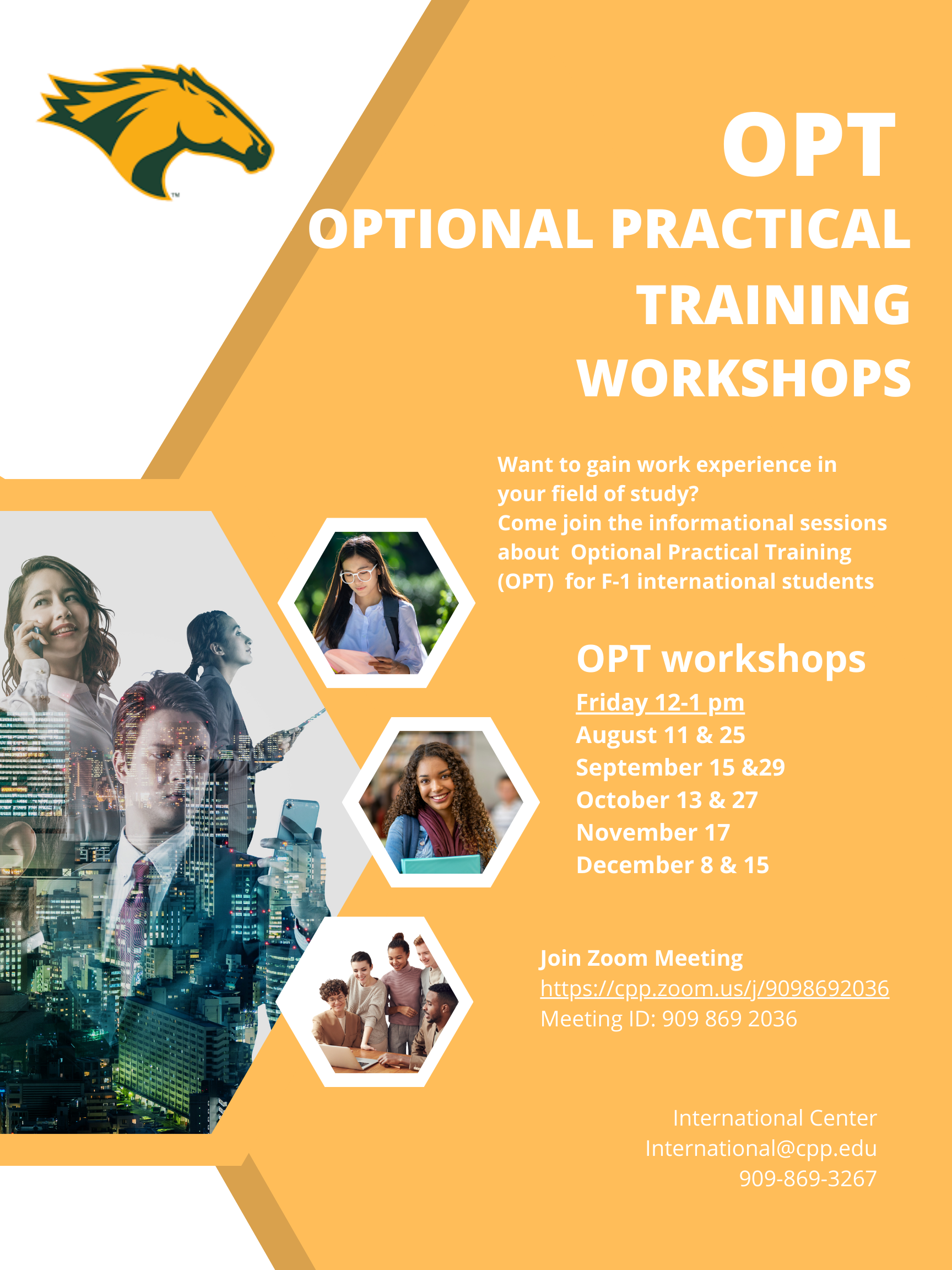 OPT- Optional Practical Training