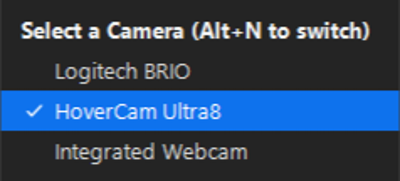 hovercam name in zoom 