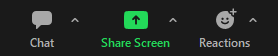 zoom share screen button