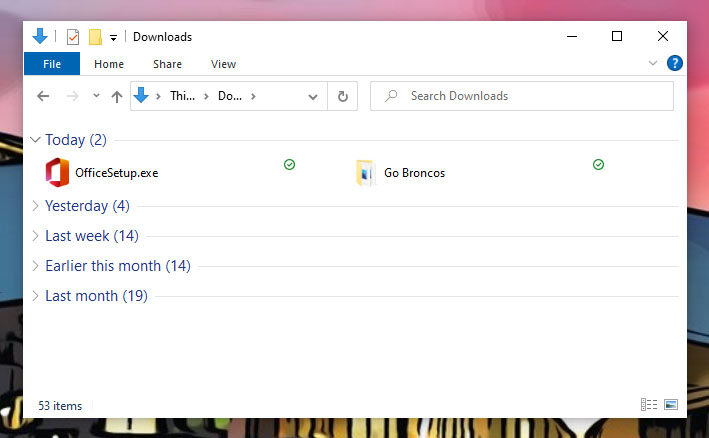 Microsoft file explorer window