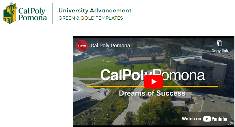 Video Clip Option Demo