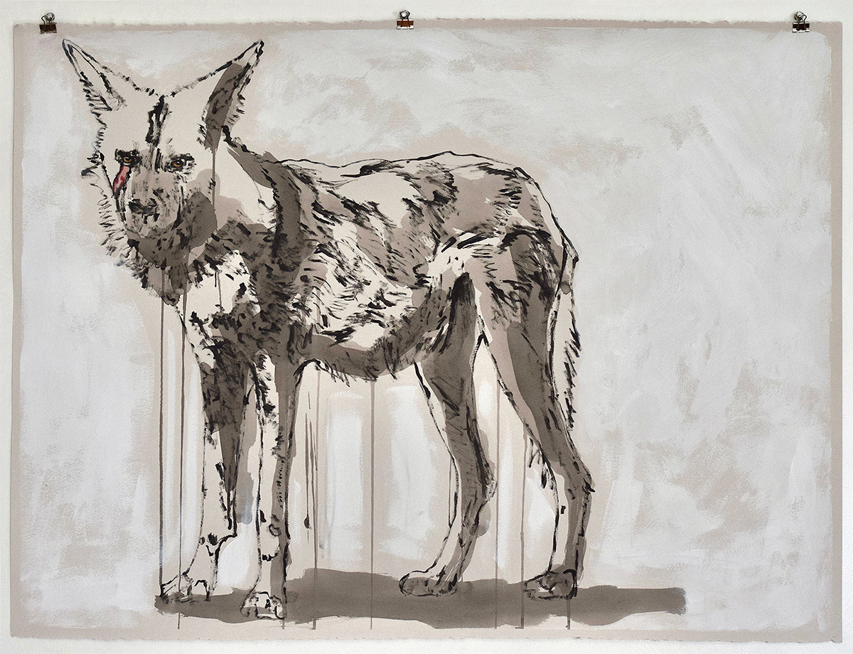 A painting of a coyote in muted tones of gray and brown, with expressive brushstrokes and drips, and a small red mark on its face.