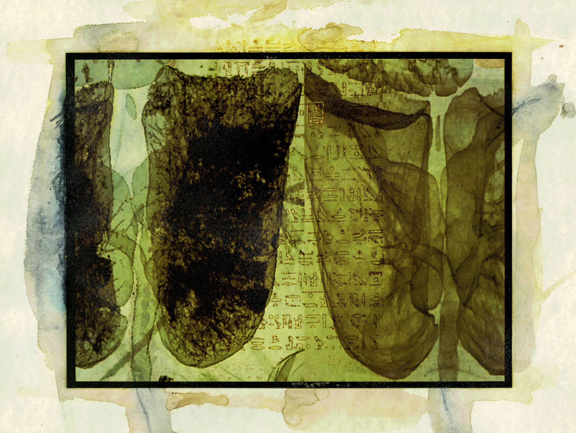 An abstract, textured artwork in muted green and yellow tones. The central area is framed within a rectangular border, displaying layers of organic shapes that resemble leaves or natural formations, overlaid with thin, delicate lines and textures. In the background, faded symbols or text are faintly visible, evoking the appearance of ancient scripts or hieroglyphs.