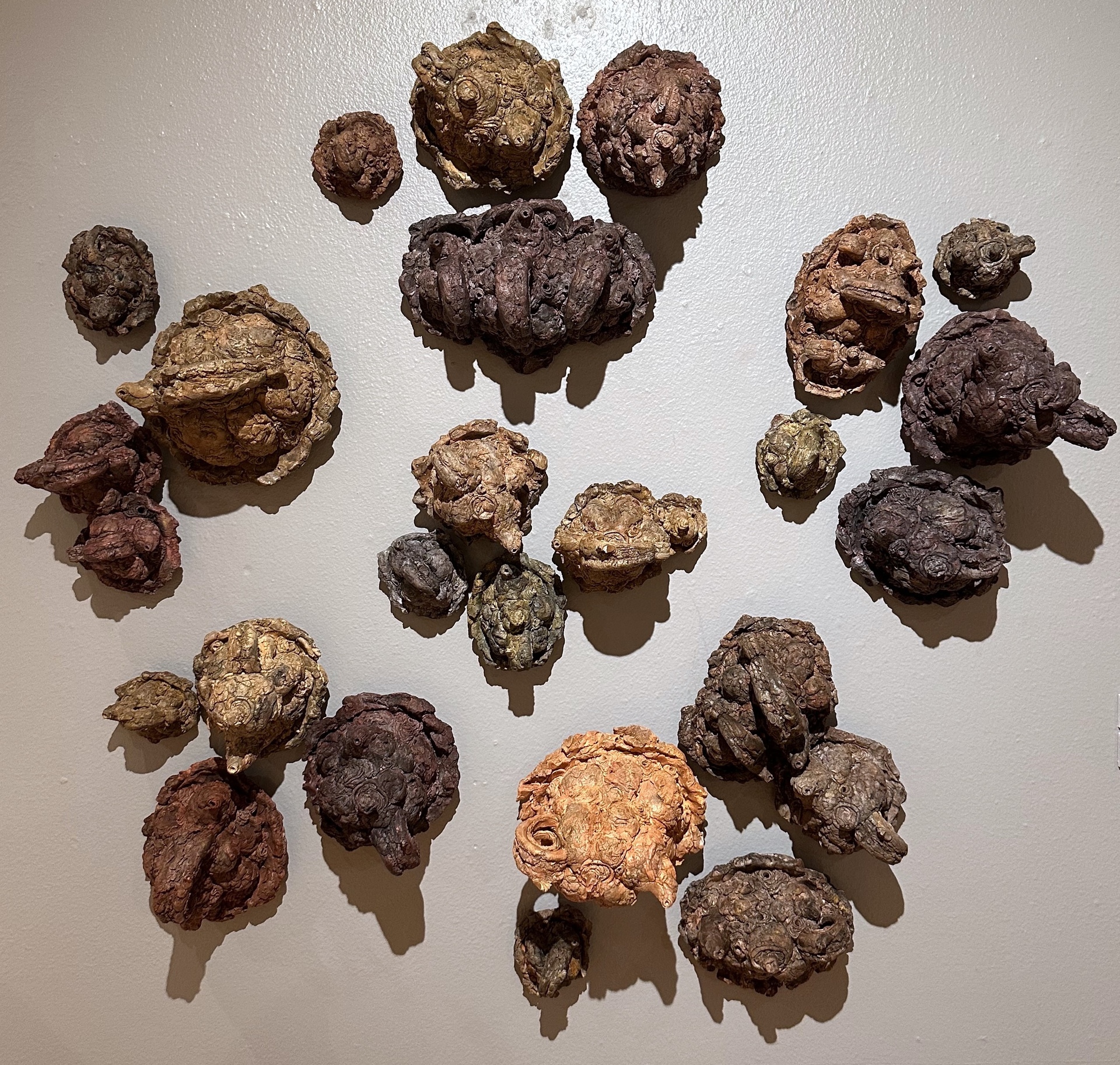 A collection of textured, organic-shaped sculptures in earthy tones of brown, red, and yellow, arranged on a wall in various sizes.