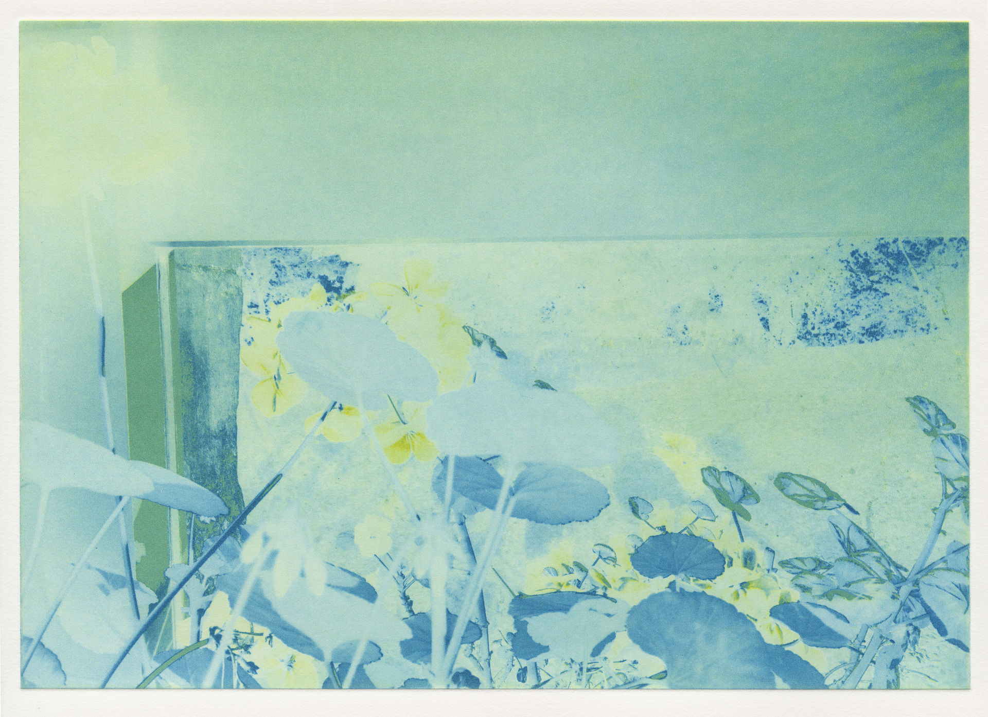 A soft, abstract depiction of flowers and leaves in cool tones of blue and green with subtle hints of yellow in the petals, giving a serene and dreamlike atmosphere.