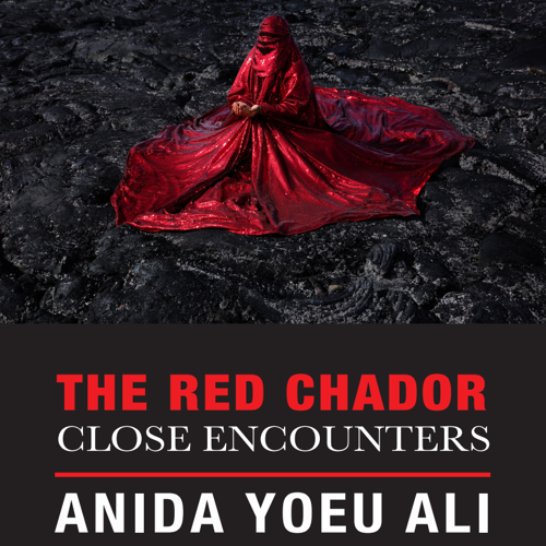 Promotional image for the exhibition "The Red Chador: Close Encounters" by Anida Yoeu Ali featuring the artwork "Lava Rising".