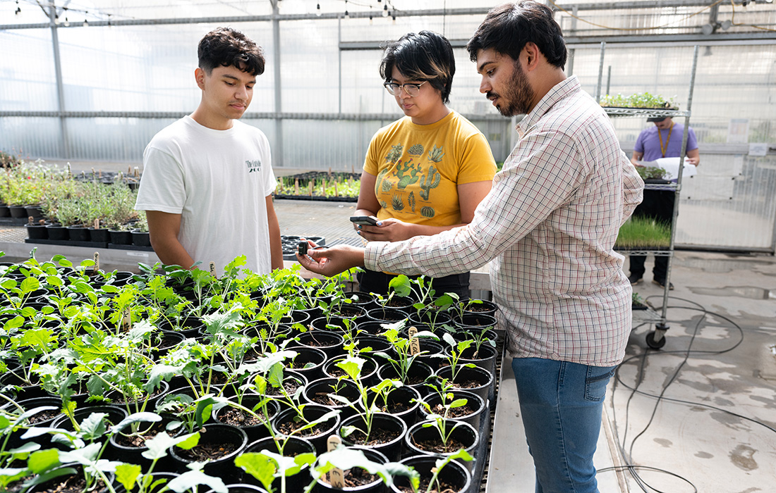 Students observe plants in the Green House.