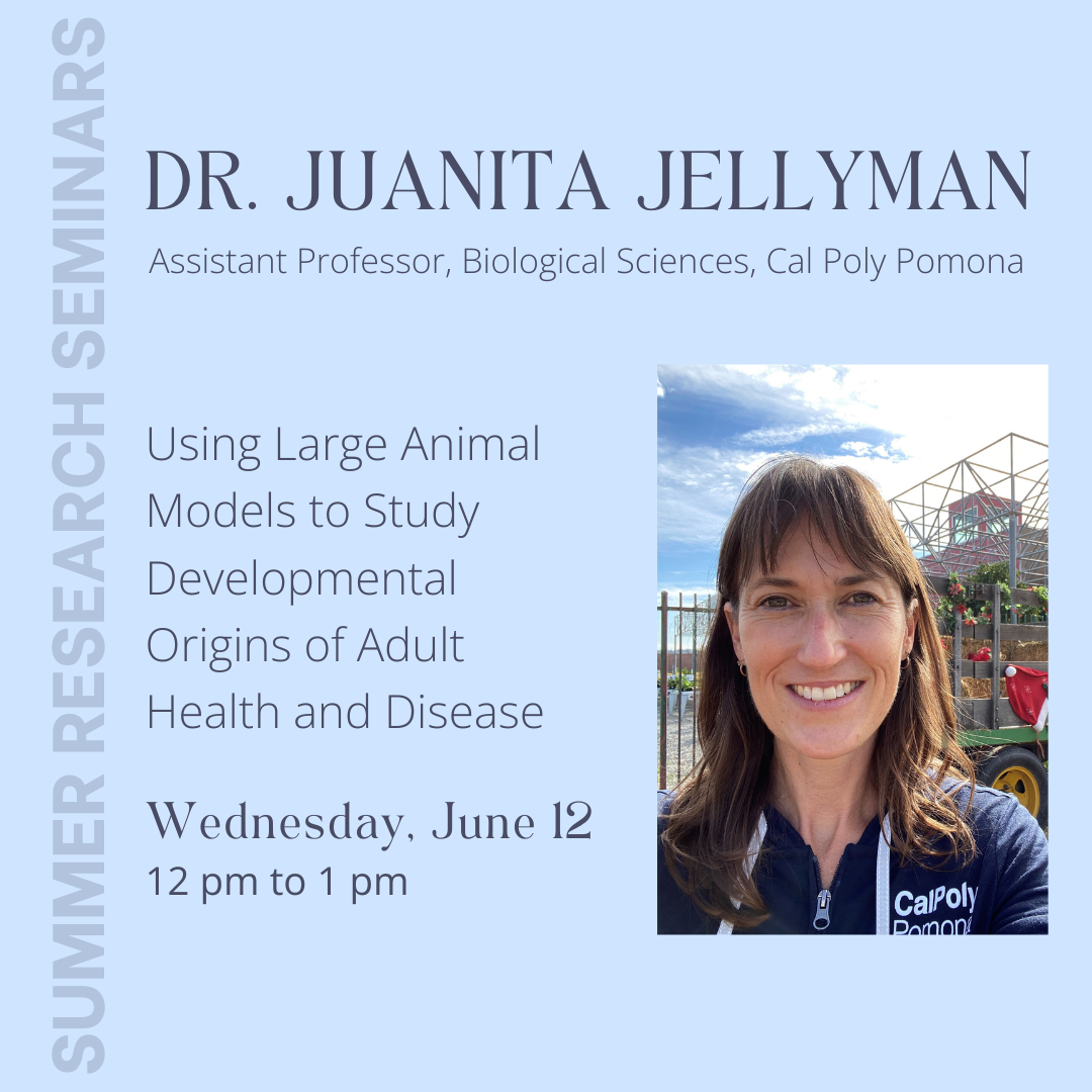Summer Seminar:   "Using Large Animal Models to Study Developmental Origins of Adult Health and Disease" Presented by Dr. Juanita Jellyman.