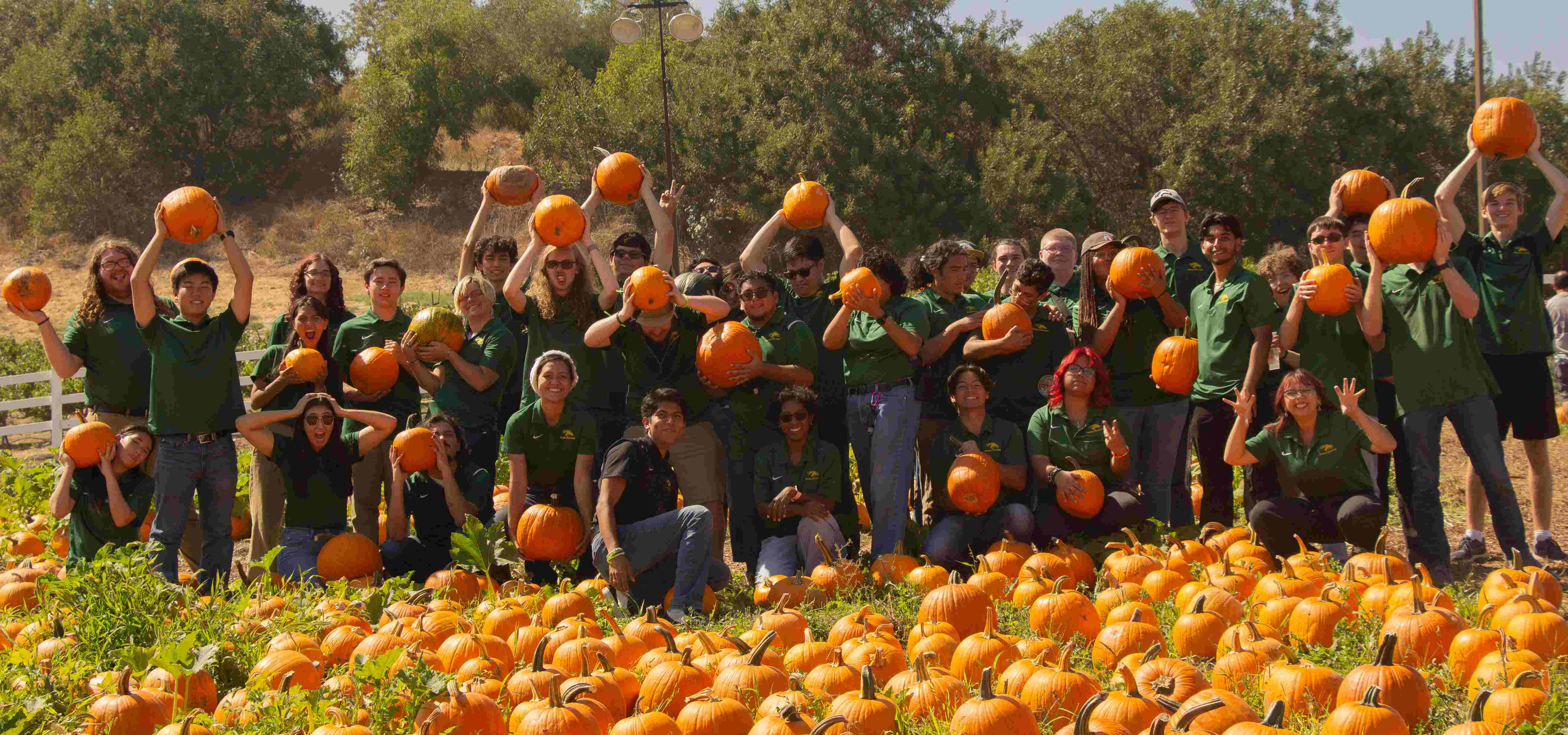 Pep Band at CPP Pumpkin Festival 2024