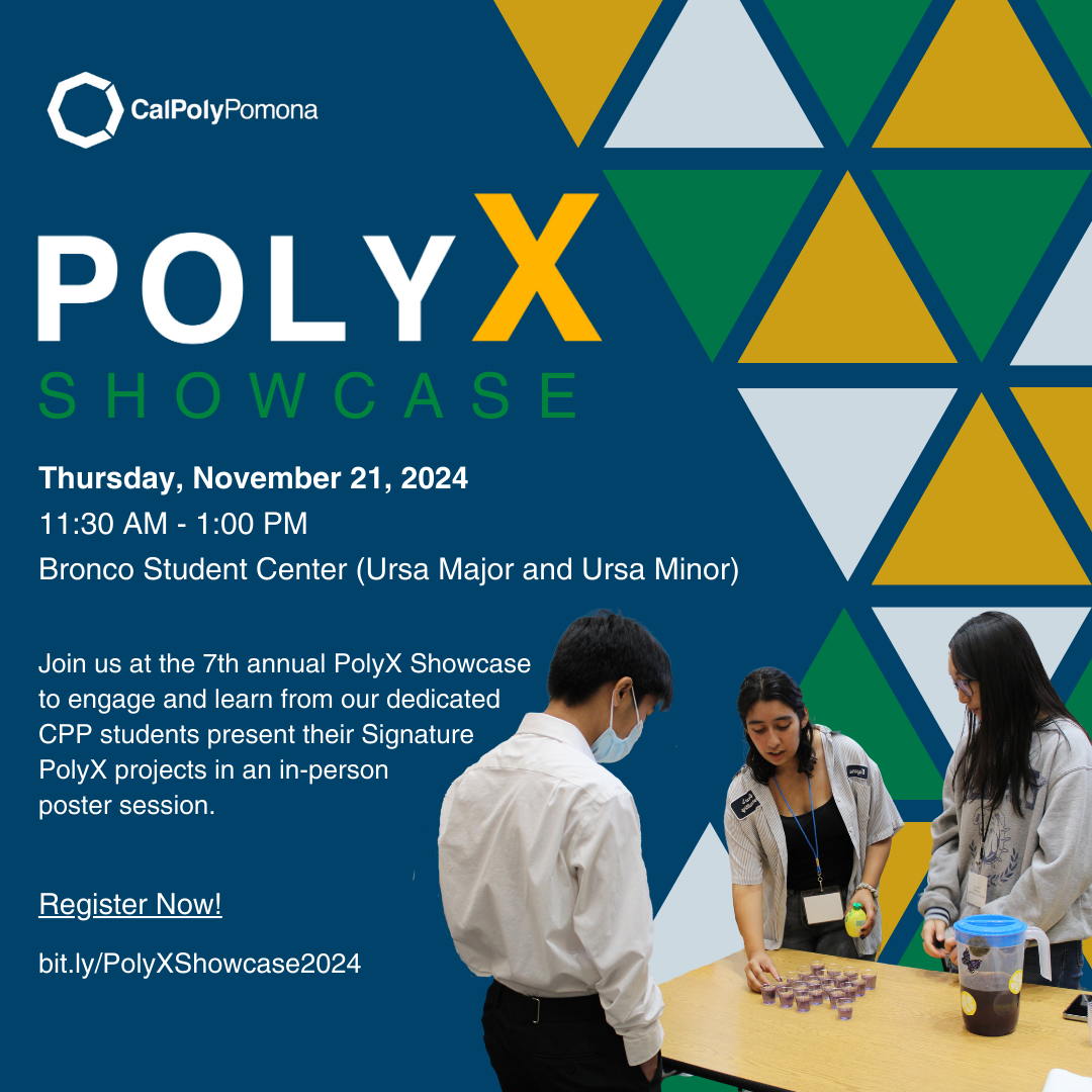 PolyX Showcase 2024