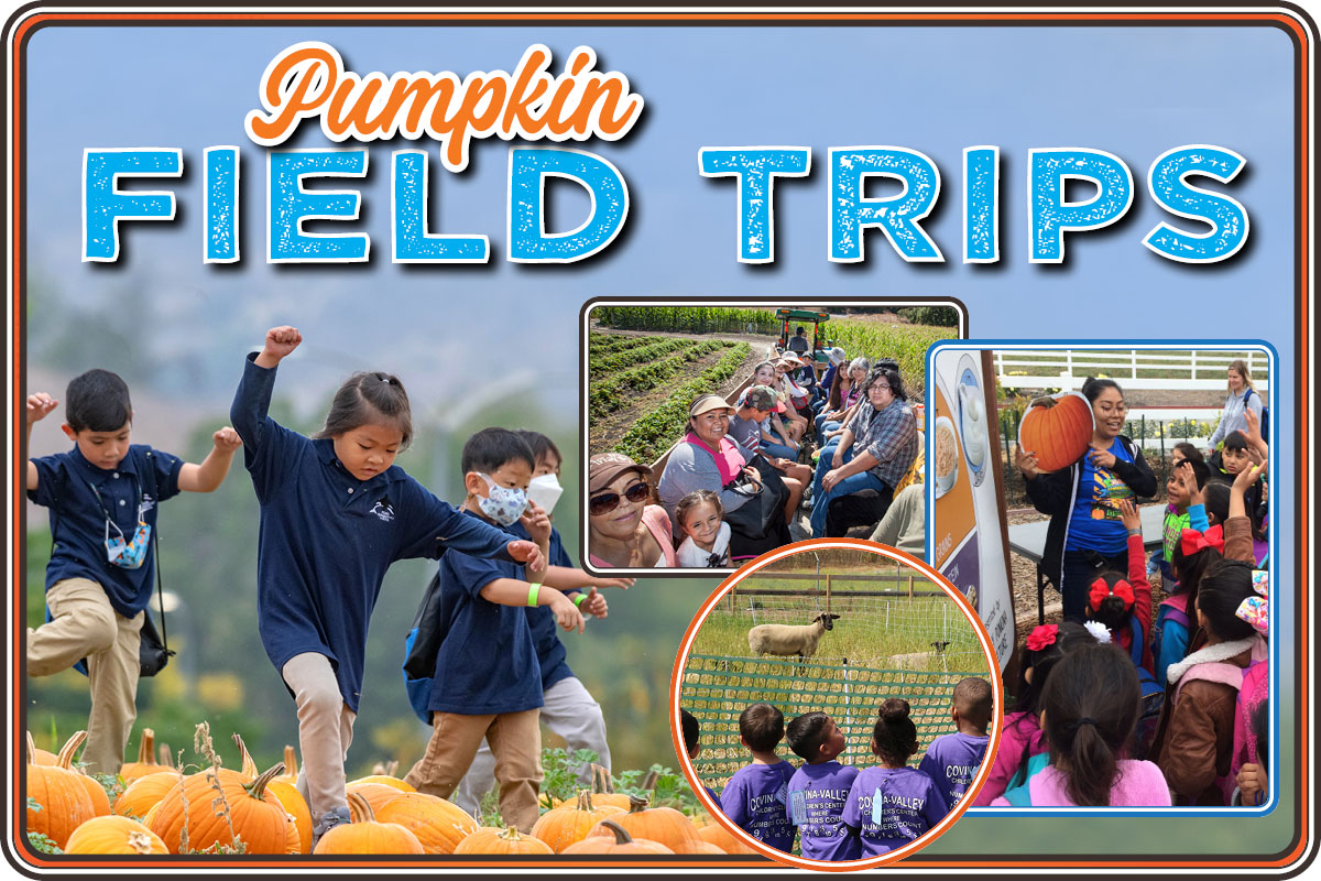 Pumpkin Patch Field Trip with kids on the field