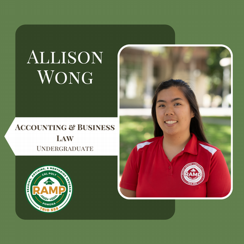 Allison Wong, Accounting & Business Law; Undergraduate