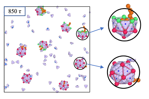 Simulations of viral proteins