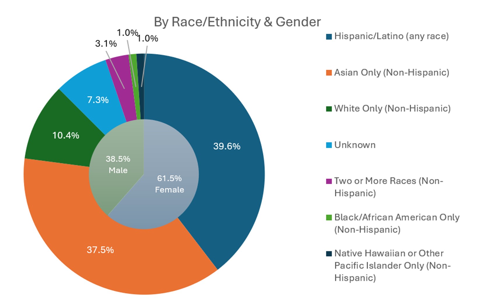 Pie Chart showing the percent represented by each race and ethnicity category as well as gender identity