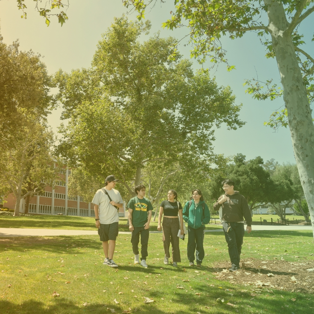 Students Walk on the Quad