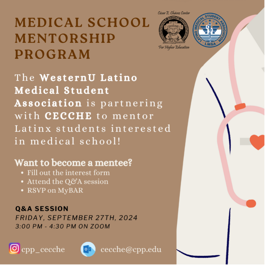 Medical School Mentorship